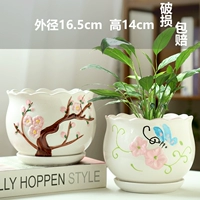 Две большие комбинации цветов персика бабочки