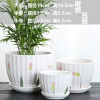 Модели благосостояния из воды Hibiscus цветочный горшок 3 кусочки