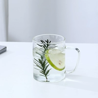 【400 мл】 1 Цвет установки случайный