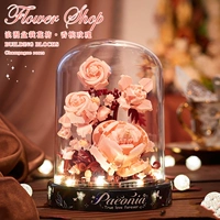 Роза шампанского - пылезащитный чехол