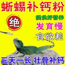 Gecko Calcium Powder Reptile Lizard Pets Calcium Supplement Special Vitamins to Prevent Maned Lions from experiencing paralysis of limbs and listlessness.