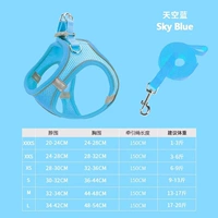 Синяя вытяжка груди и спины