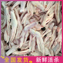 Guangdong freshly killed duck feet duck feet large duck feet fresh frozen hotel restaurant restaurant ingredients brine for commercial use