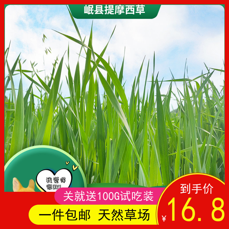 2021 Dried Timothy Grass Boutique North Titi Rabbit Food Rabbit Feed Dutch Pig Totoro Grass 500g