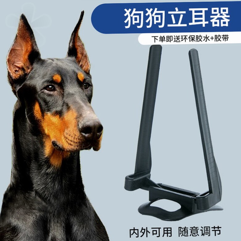 Dubin Liver Shepherd dogs Mound Puppy Puppy ears Auxiliary fixed theorist Depherd puppies vertical ear Everest Black Wolves