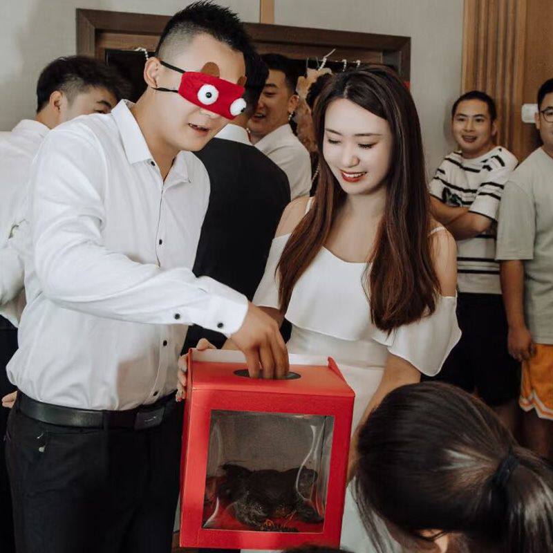 摸摸盒能给年会带来多少惊喜？2026年必备趣味整蛊道具解析