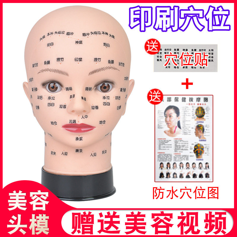 Beauty salon practice Modus Operandi Dummy Human Head Model Facial Wash Face Acupoint Massage Model Head Beauty Paparazzi Bald Head Woman