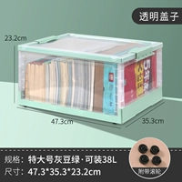 Очень большая серая фасоль зеленый (прозрачный видимый/ролик)