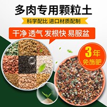 Multi-meat plant nutritious soil multimeat special granular soil potted meat small seedlings to grow old piles soil