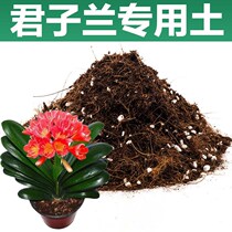 Jun Zlan Special Earth Family Horticulture Planting Earth Nutritious Soil Balcony Species Flowers Seed Vegetable Soil Free of Fertilizing Flowers