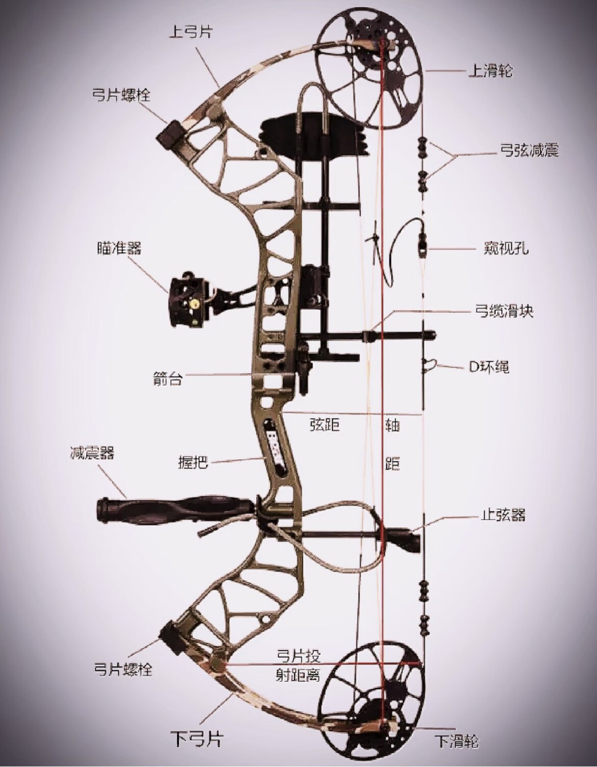 参铜为您选弹弓