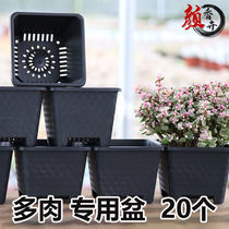 Vientiane basin square large caliber indoor ball multi-meat small plastic thickened flower pot green planting special basin