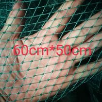 Dove theorist catch pigeon cage fully automatic dove cage son catch Pigeon Racing Pigeon Outdoor Sky Fall just cant get out of the anti-escape net