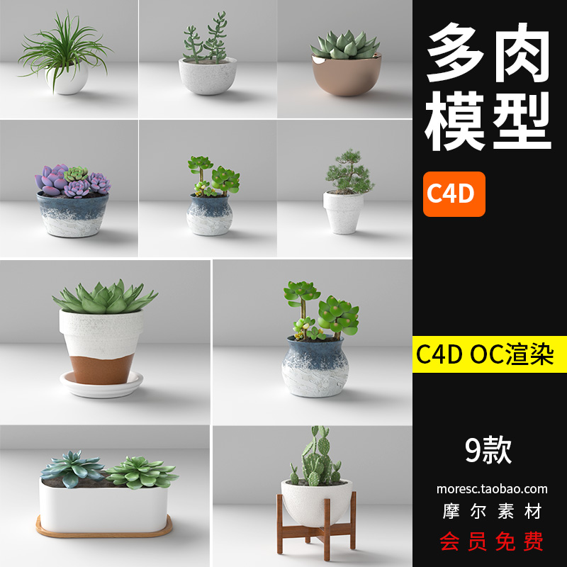 C4D绿植盆栽多肉家居摆件绿色植物模型素材OC渲染带材质贴图MX235-cg男孩