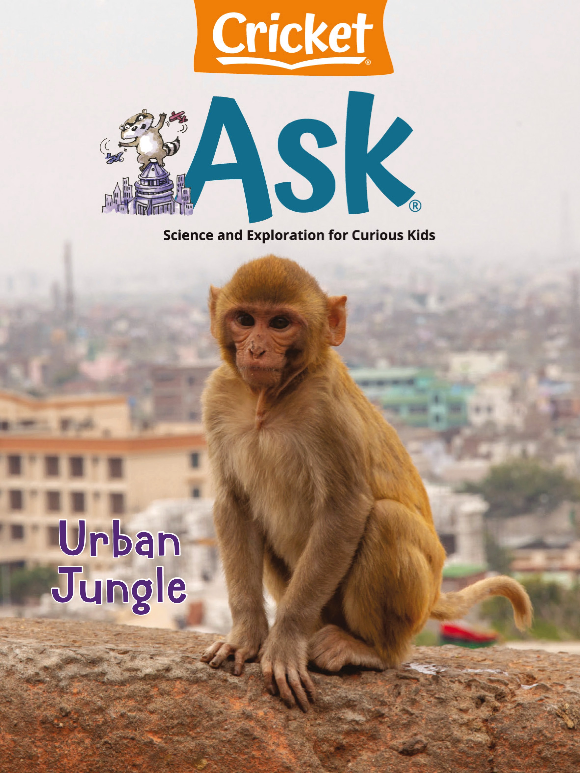 Cricket Ask 2024.05&06.jpg