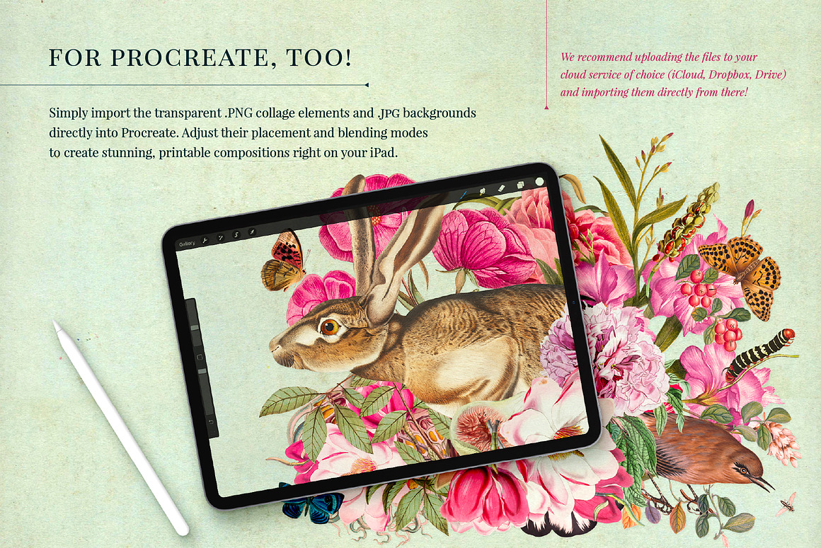Vintage Nature Collage Creator, an Object Graphic.jpg