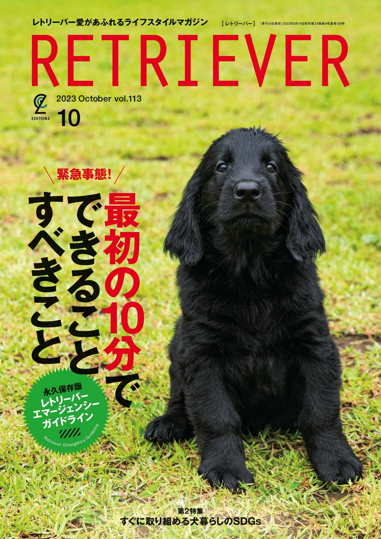[RETRIEVER] 2023.10.jpg