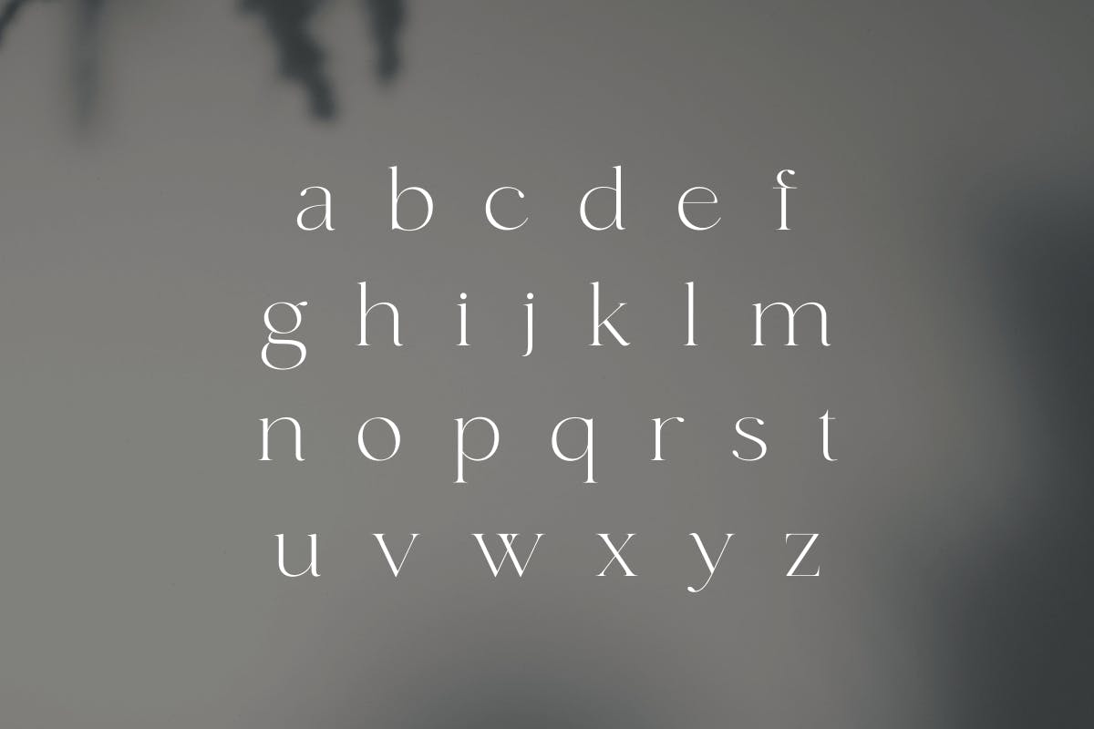 fonde - elegant chic font_4.jpg