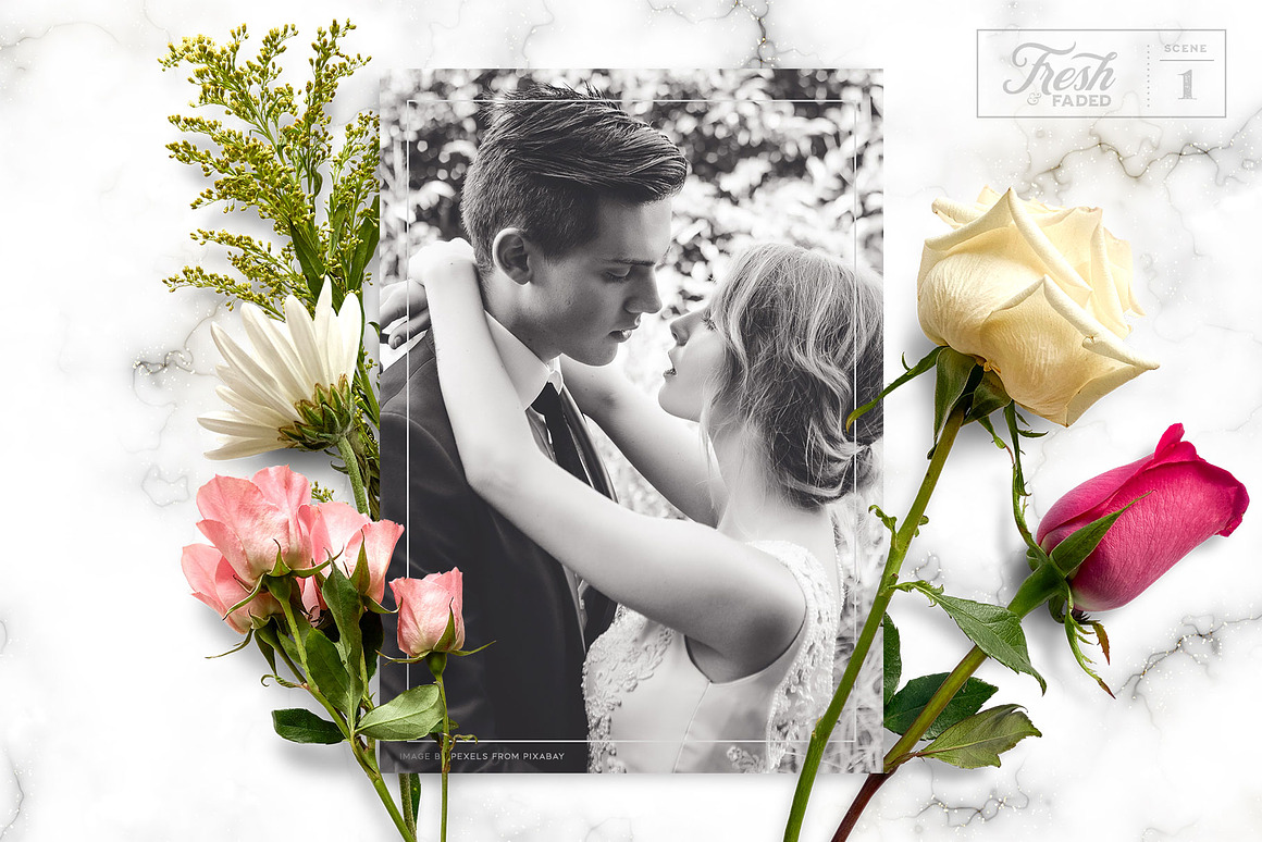 Fresh  Dried Flower Flat Lay, a Product Mockup by.jpg