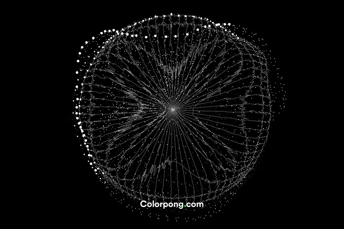 Dataism, a Technology Illustration by Colorpong Ph.jpg