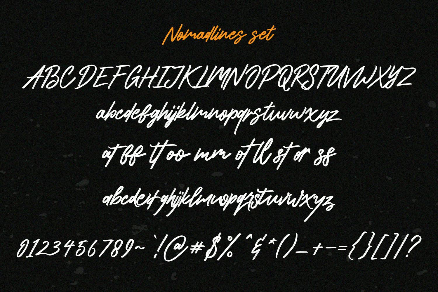 Nomadlines Brush Stroke Script Font_7.jpg