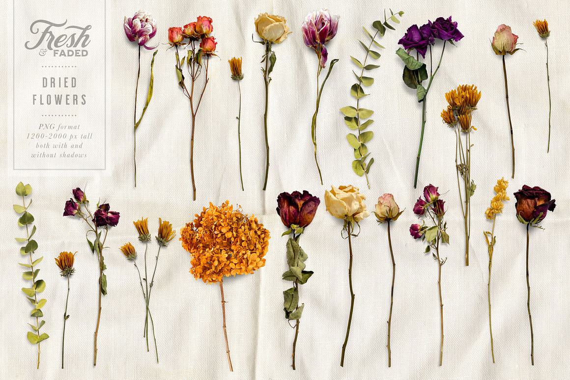 Fresh  Dried Flower Flat Lay, a Product Mockup by.jpg