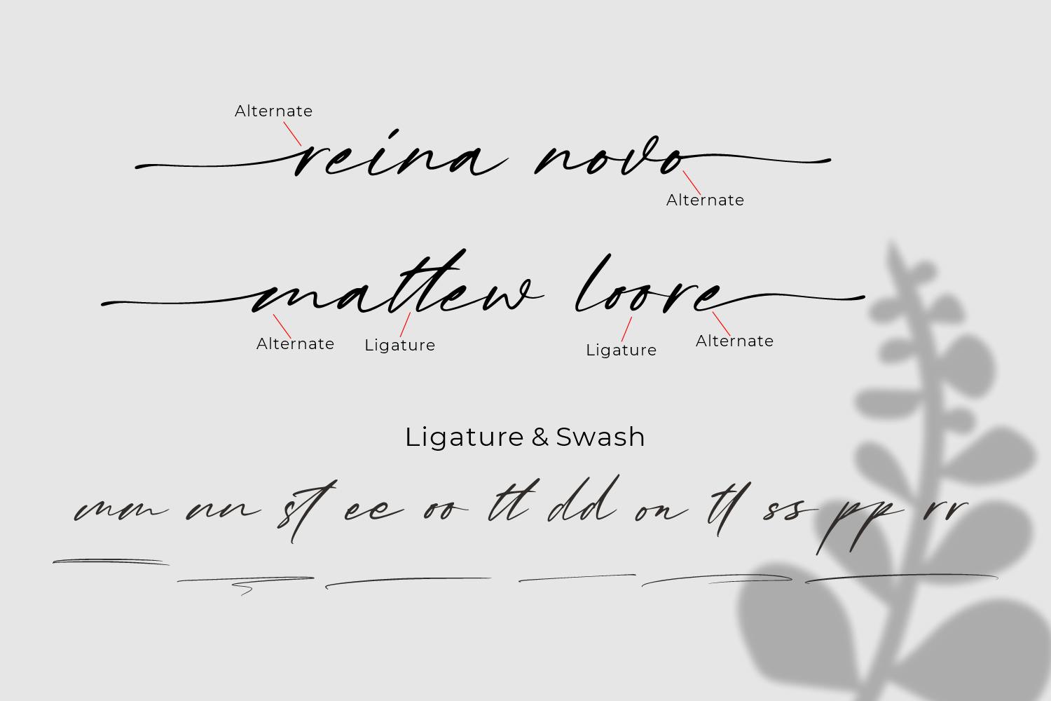 Kiss Me - Beautiful Script Font_7.jpg