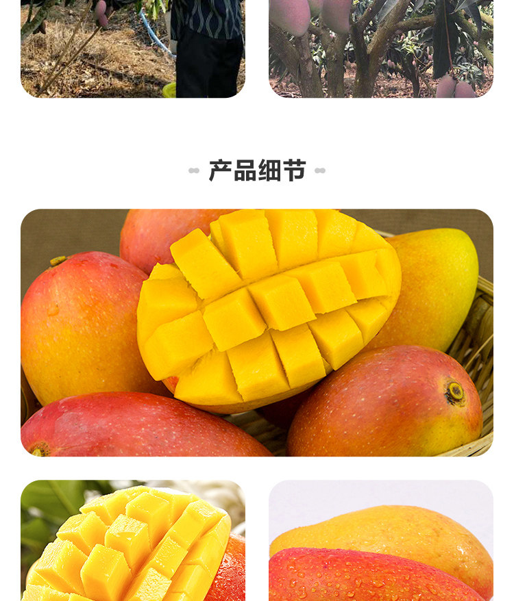 盒马鲜生 海南贵妃芒 2斤 单果70g+ 图9