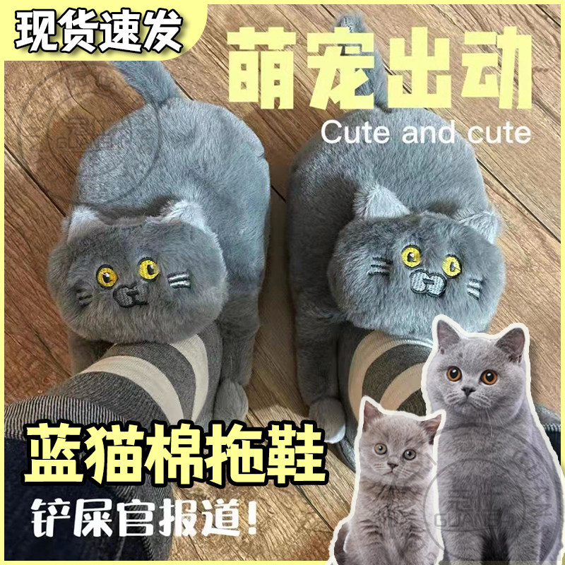 可爱蓝猫棉拖鞋搞怪秋冬季毛绒情侣一对高颜值室内家居男女保暖sq