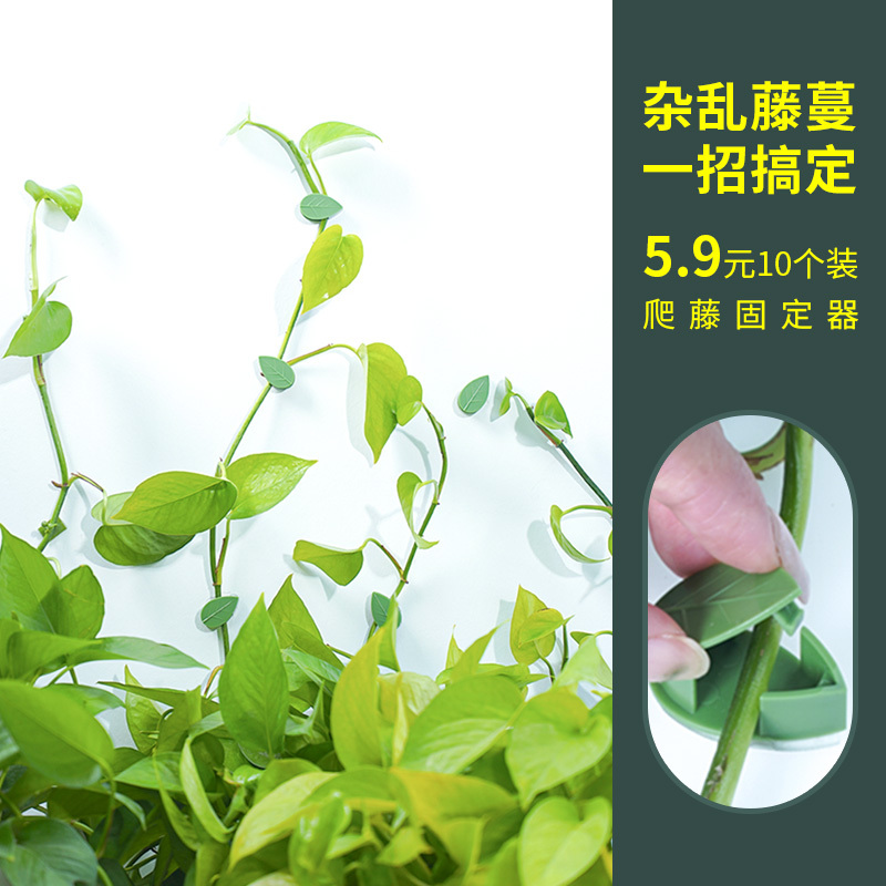 Wall Climbing Plant Holder for Green Plants, Wall Climbing Hook Clip Fastener