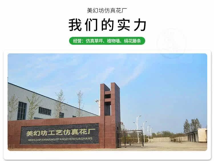 Красота Фангфанг Дверь