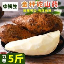Yunnan Jinshengmao yam farmers self-grown non-iron rod fresh rod hairy potato small white mouth sweet whole box 5 pounds