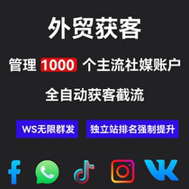 Foreign trade independent station SEO social media marketing customer acquisition automated management of thousands of fbinswstk accounts