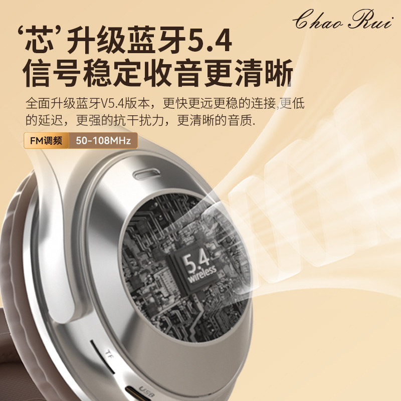 Head-Mounted Wireless Bluetooth Headphones for Cet-4 and Cet-6 Exams, Fm Radio for College Level 4 Exams, Retro Style