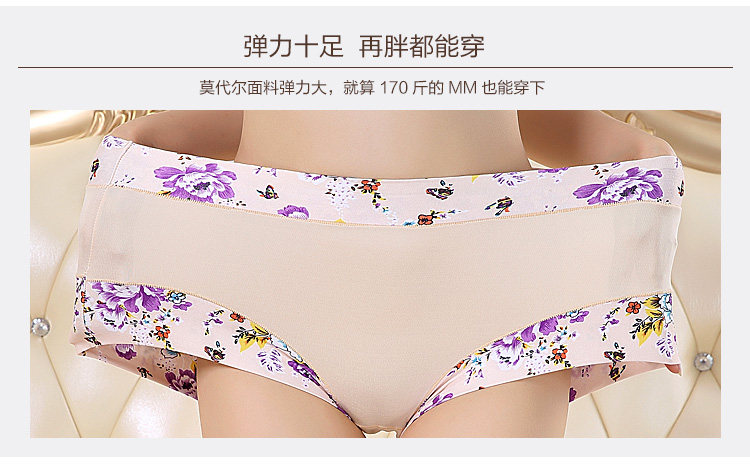 Slip Moyen-âge shushi-01 en coton - Ref 640691 Image 10