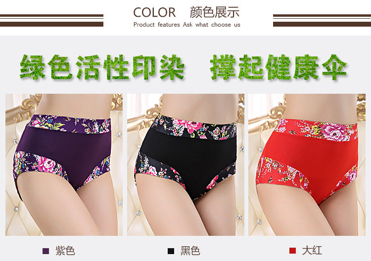 Slip Moyen-âge shushi-01 en coton - Ref 640691 Image 13