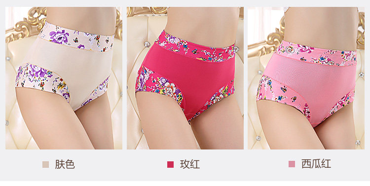 Slip Moyen-âge shushi-01 en coton - Ref 640691 Image 14