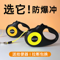 Dog traction rope mesh red large dog rope Automatic telescopic Koki Labrador Dog Rope Reflective Dog Chain Clasp