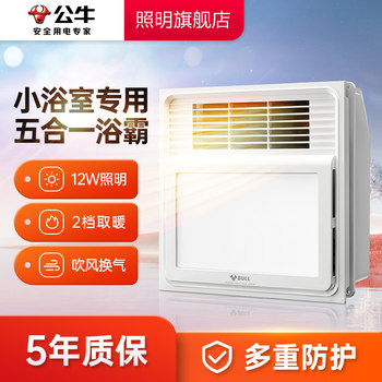 Bull Brand Air Heating Small Bathroom Heater with Exhaust Fan and Lighting, Integrated Ceiling Heating, Five-In-One Heater for Bathroom Heating