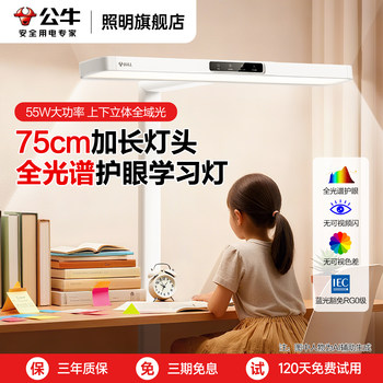 Bull Small Floor Lamp, Eye-Protecting Floor Lamp, Study-Specific Large Lamp, Children's Study Desk Reading Full-Spectrum Desk Lamp