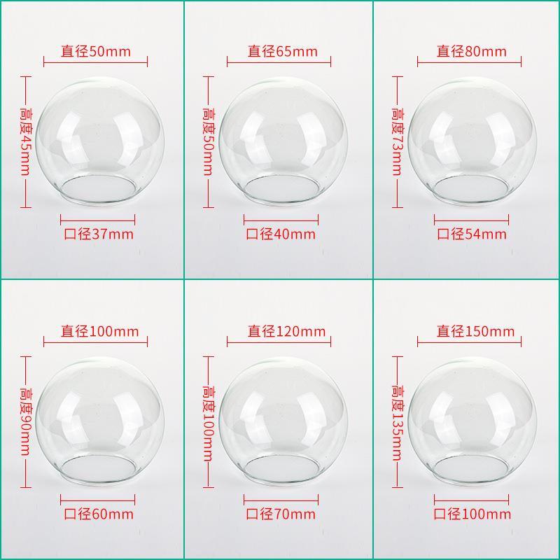 Manufacturer Supplies Eternal Flower Glass Globe Cover, Spherical Glass Lampshade, High Borosilicate Glass, Diameter 74mm Manufacturer Supplies Eternal Flower Glass Globe Cover, Spherical Glass Lampshade, High Borosilicate Glass, Diameter 74mm