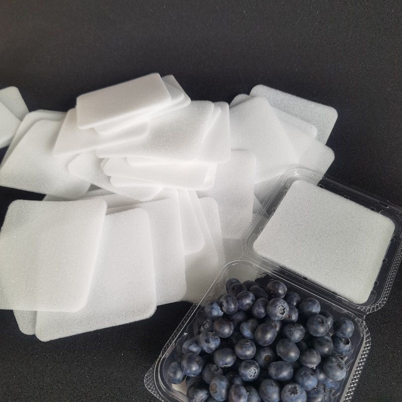 Blueberry Sponge Pads, White, 125g, Transparent Box, Quick Rebound, Free Shipping, Disposable Fruit Pads, 2000 Pieces