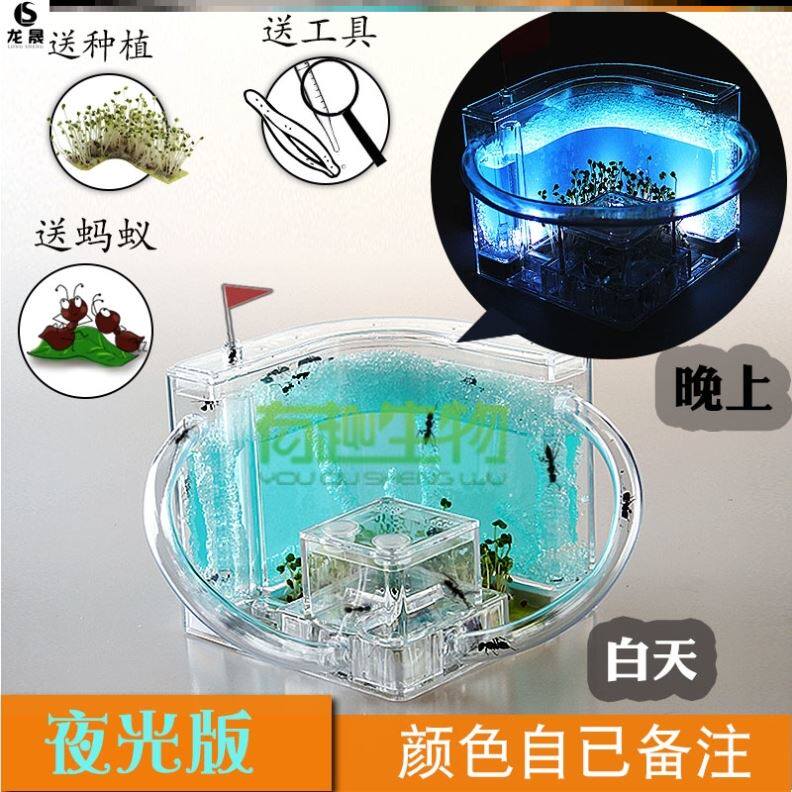 Nest Observation Ant Home Farm Manor Ant Castle Ant Castle for Transparent Villa Boys' Hall