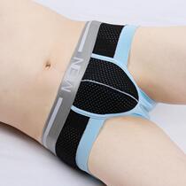 3 Dress New Mens Underwear Male Ice Silk A Sexy High Bomb Breathable Youth Mesh Low Waist Triangle Pants Bottom Pants