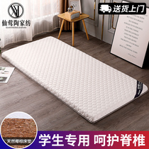 Coconut Palm Latex Mattress Student Dorm Room Single Hard Mat University Special 90x190 Dorm Room 1 2 m Ground Sleeping Mat 2