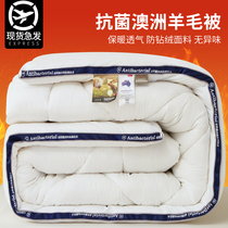Australian wool quilted in winter by 100 pure wool thickened warm cashmere quilted by a small sheep in winter