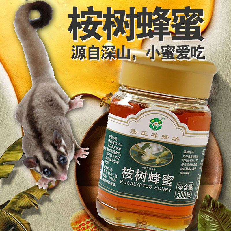 Eucalyptus honey eaten by honey bag glider Special snacks for quolls Flying squirrel staple food Supplementary nutrition food