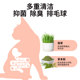 Cat Dali Chicken Breast Cat Snacks Cat Grass Chicken Strips Nutrition Chicken Breast Fish Oil Fattening Official Authentic Product