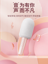 Combater Jiazaki recommends mike sound integrated microphone home wireless Bluetooth child baby is applicable to sing it