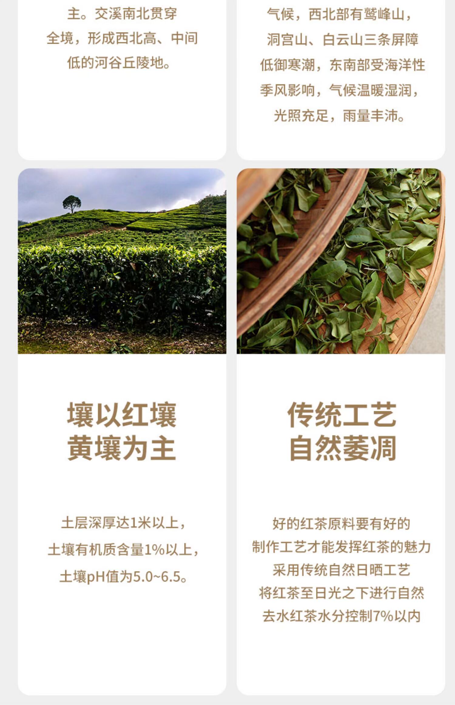 【首单立减】红茶茶叶果香型2包